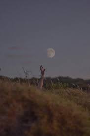 Hand Reaching for Full Moon · Free Stock Photo