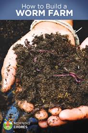 Check spelling or type a new query. How To Build A Worm Farm At Home And Monetize It For Profit
