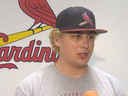 Baseball: Canfield standout pitcher throws no-hitter