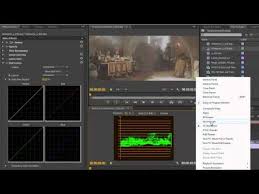 Neat Video Pro 5 0 2 Full Version For Premiere Pro Premiere Pro Cs6 Techniques 61 Color 14 Rgb Curves 1 Youtube Premiere Pro Premiere Video Film