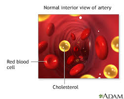 cholesterol testing and results medlineplus medical