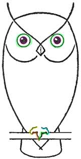 Pin On Owls