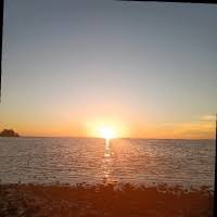 40+ "Mattera" profiles