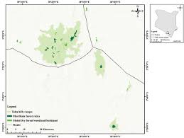 Image result for Oliverella hildebrandtii