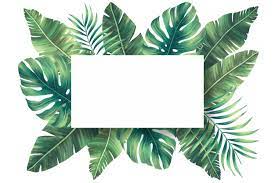 Daun musim gugur warna daun musim gugur, daun gugur, daun maple kering, cat air daun, daun png. Download Lovely Natural Frame With Tropical Leaves For Free Ilustrasi Daun Poster Bunga Pernikahan Bunga