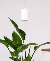 We did not find results for: Large Grow Light Bloomscape