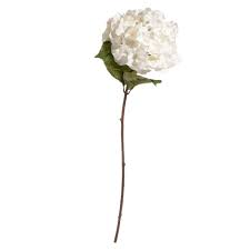 Fleur Artificielle Hortensia Creme H 73 Cm Fleurs Artificielles Hortensia Et Maison Du Monde