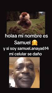 Vídeos de Xx_Samuel Anaya_xX (@xx_samuel.anaya_x) con «Kolors