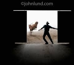 Closing The Barn Door Too Late Funny Photography Horses Horse Galloping