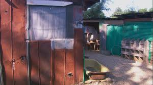 Bildergebnis für Dorit Margreiter