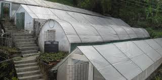 Plant nurseries nearby with addresses, contact details, photos, reviews and ratings. How We Got Started Buy Plants Online