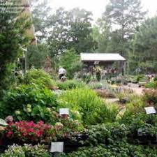 The Blue Moon Gardens In Chandler Tx Outside Of Edom Is Such A Unique Place It S Like Shopping In Someone S Garden A Moon Garden Garden Spaces Garden Beds