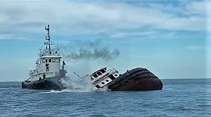 new artificial reef coastal