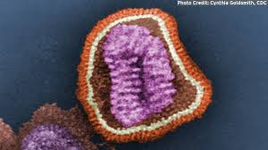 Image result for Influenza