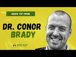 Dog Gut Health Summit Quick Tips