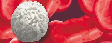 What kinds of tumours do you какие виды опухолей вы знаете? Roche Haematology It S In Our Blood
