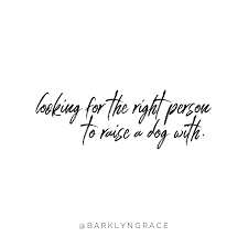 Rescue dog sign dog adoption shelter dog dog rescue mom | etsy. Funny Dog Quotes For The Every Day Dog Mom And Pup Lovers Dogmom Dogmemes Cutestpuppy Dog Mom Quotes Dog Quotes Funny Dog Best Friend Quotes