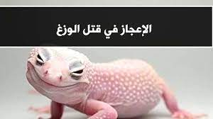 لماذا أمرنا النبي صلى الله عليه وسلم بقتل أبو بريص الوزغ ولماذا يحرك ذيله بعد قطعه animals lizard blog