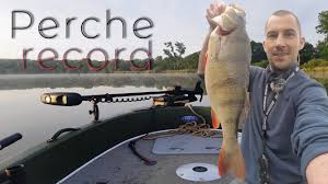 Quel est le plus gros poisson d'eau douce du continent ? Grosse Perche Record Et Chevesnes En Moselle Youtube