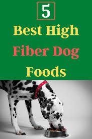 5 best high fiber dog foods for healthy dogs dog food recipes dog nutrition healthy dogs
