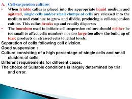Maybe you would like to learn more about one of these? Cell Suspension Culture Ppt Download