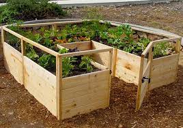 Raised garden beds are higher off than ground than a traditional garden, making the plants easier to reach. Raised Garden Bed Kit 8 X 8 Outdoor Living Today