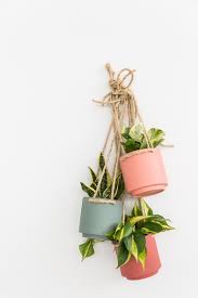 What's important about this type of planters is that you can use even. 12 Diy Hanging Planters To Make Apartment Therapy