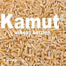 Kamut synonyms, kamut pronunciation, kamut translation, english dictionary definition of kamut. Kamut Wheat Berries Breadtopia