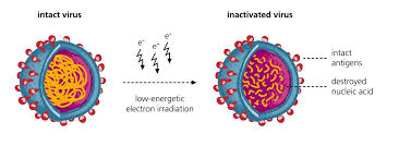 A vaccine is a biological preparation that provides active acquired immunity to a particular infectious disease. More Efficient Vaccine Production