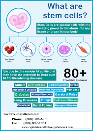 Using Stem Cells That Aid In The Repair Or Replacement Of Cells And Tissues In The Body To Treat Conditions And Disea Stem Cells What Is Stem Stem Cell Therapy