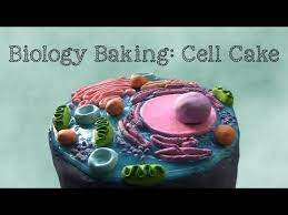Biology baking animal cell cake. 132 Biology Baking Animal Cell Cake Youtube Cake Baking Science Themed Cakes