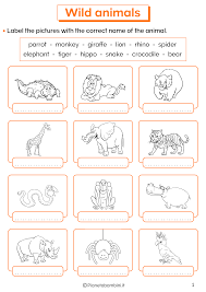 Animali Selvaggi In Inglese Esercizi Per La Scuola Primaria Animali Selvaggi Scuola Animali