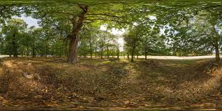 Textures.com is a website that offers digital pictures of all sorts of materials. 360 Hdri Panorama Of Richmond Park 2 In High 30k 15k Or 4k Resolution Park Forest London