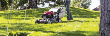 Search below for a store near you. Honda Lawn Mowers Honda Mower Dealer Buckeye Power Sales