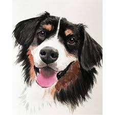 Nummertje by luie hond chords different leuke tekeningen die je zelf moet maken door de. Tekenen Op Nummer Hond In Kantoorartikelen Online Beslist Nl De Laagste Prijzen