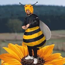 We did not find results for: Bees Gifs Tenor
