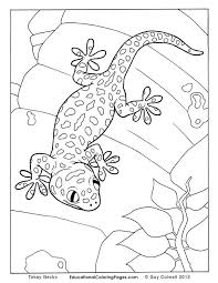 We have collected 38+ leopard gecko coloring page images of various designs for you to color. Crawly Creepers Bookone Coloring Pages Animal Coloring Pages For Snake Coloring Pages Animal Coloring Pages Cute Coloring Pages