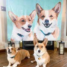 Add your pet photo on to a fleece blanket today. Custom Dog Blankets Personalised Pet Photo Blankets Painted Art Portra Au Get Photo Blanket