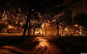 Si quieres dar un cambio de aires a tu pantalla de inicio, te proponemos doce opciones. Parque Nocturno Paisajes Naturaleza Fondos De Pantalla Parque Nocturno Paisajes Naturaleza Fotos Gratis