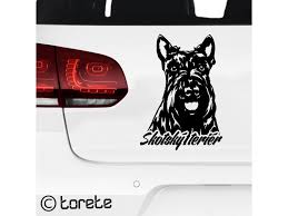 Image result for skotský teriér