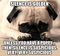 The Truth About Silence Pugs Funny Bulldog Funny Funny Dogs