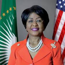 Image result for Afrobrunnichia