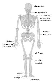 Check spelling or type a new query. Http Eprints Walisongo Ac Id 3264 3 3105130 Bab 202 Pdf