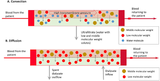 During the time of the ch'in and han dynasties, a cave chief named wu married two wives and each gave birth to baby girls. Espen Guideline On Clinical Nutrition In Hospitalized Patients With Acute Or Chronic Kidney Disease Clinical Nutrition