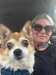 My beautiful girl Pip passed in my arms today, I am 💔, the hardest  goodbye. See you at 🌈 bridge one day my sweet angel. Hug you babies  everyday, as time with