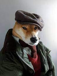 Menswear Dog Features Photos Of Mens Fashion Modeled By A Shiba Inu Menswear Dog Dapper Dogs Doge Meme
