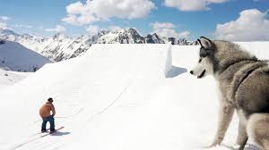 He has won 4 crystal globes on the world cup freestyle circuit; Andri Ragettli 2014 Edit Video