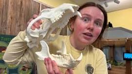 Name That Skull