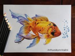 This feather design was drawn entirely with a fountain pen in three colors. Gold Fish In Colour Pencils On Mix Art Hues By Mrinalini Facebook