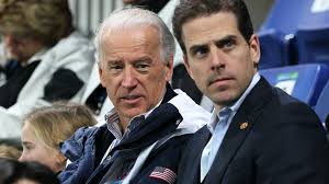 Image result for Bidens buchneri